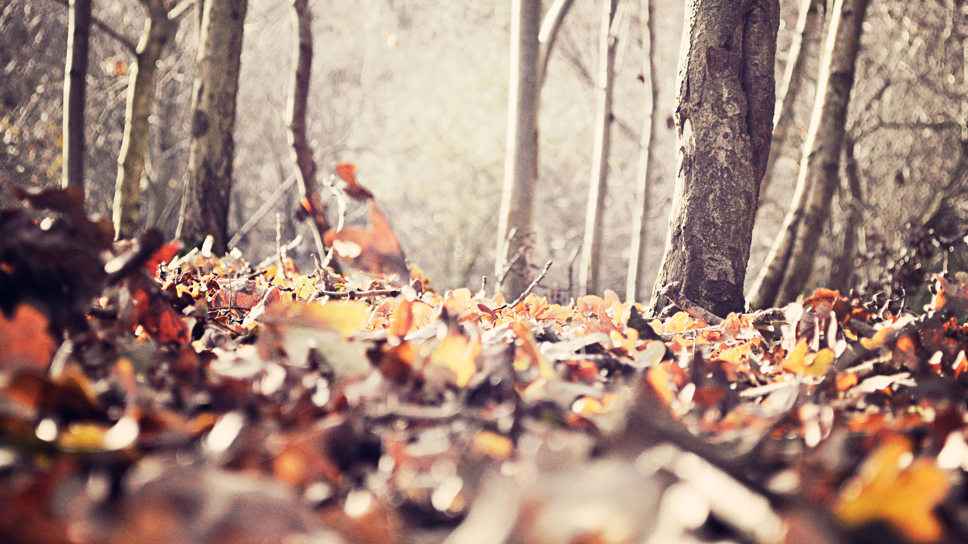 Wishlist d’automne à moins de 150€